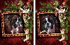  - Très jolies cartes de Noël, Guenièvre & Giotto du Dolon