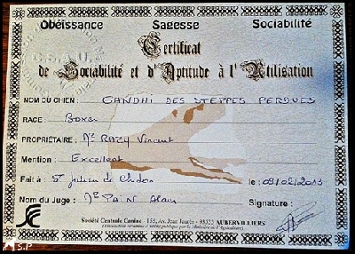 Des Steppes Perdues - BRAVO Gandhi !!!!