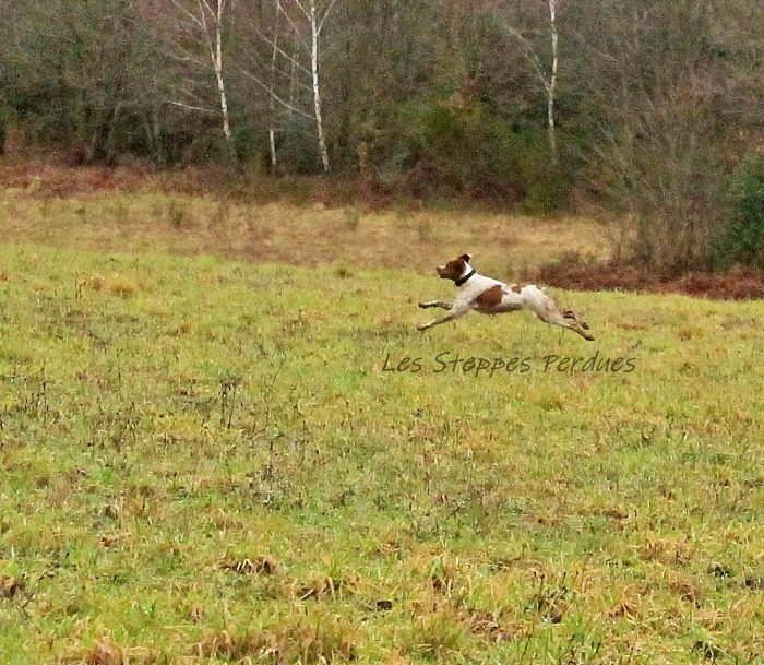 Mise à jour de la page d'"ATKA des ETANGS de DAME BLANCHE"