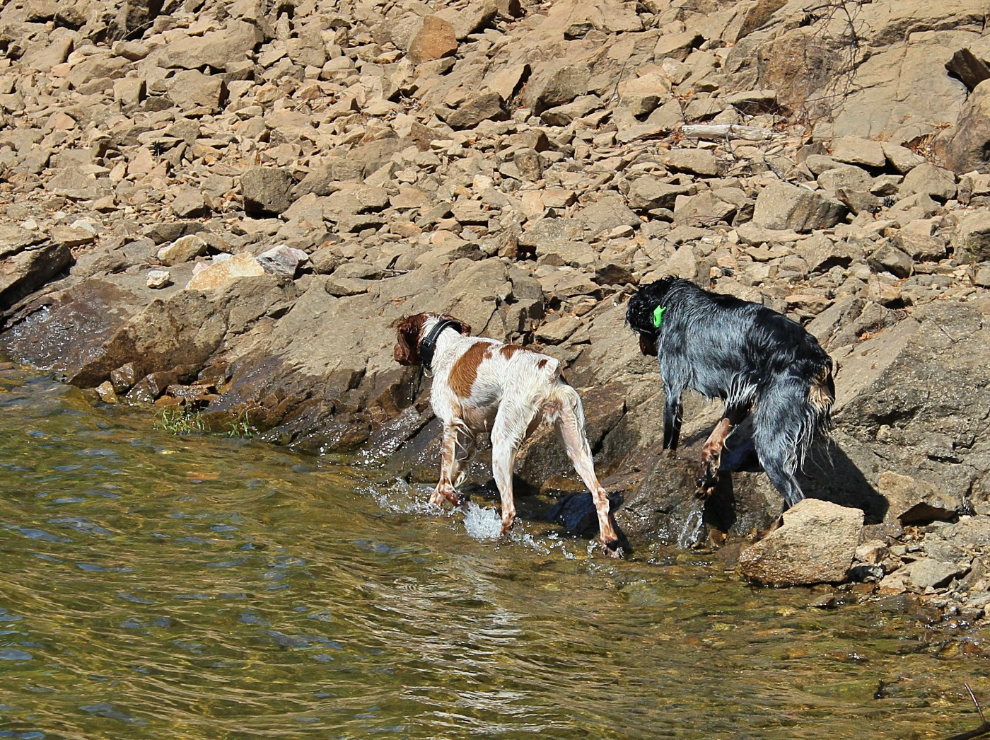Confirmations Atka et Attou