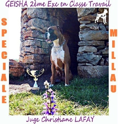 Des Steppes Perdues - Spéciale Millau : Geisha 2ème Exc Cl Travail !