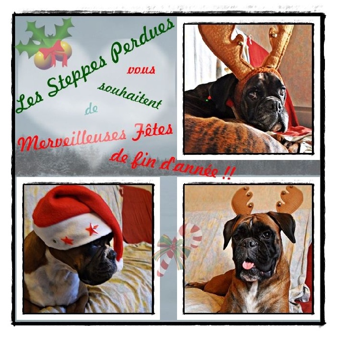 Des Steppes Perdues - Merveilleuses Fêtes de fin d'année ....