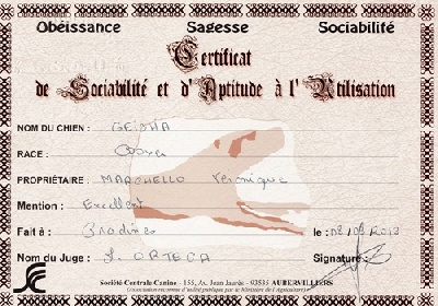 Des Steppes Perdues - Geisha à Pradines