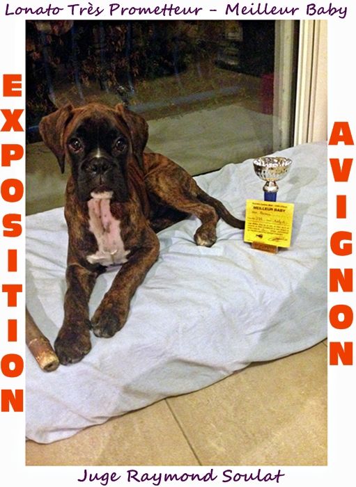 Des Steppes Perdues - Avignon : Lonato des Steppes Perdues Meilleur Baby !!! 2015-10-04