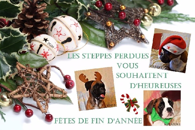 Des Steppes Perdues - Bonnes fêtes de fin d'année !!