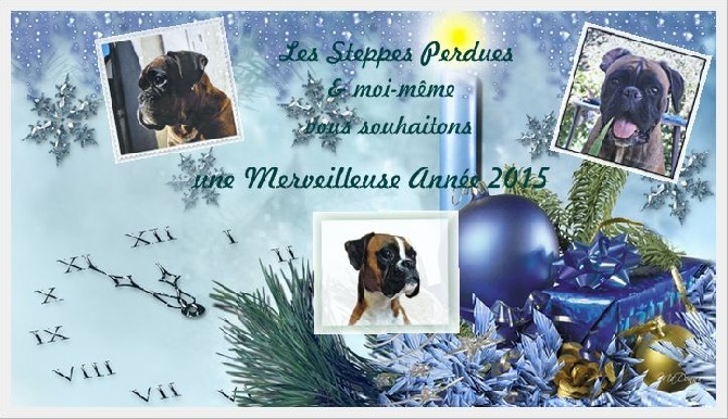Des Steppes Perdues - Bonne & Heureuse Année 2015 !!!