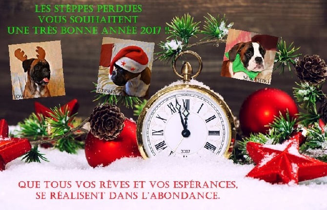 Des Steppes Perdues - Merveilleuse année 2017 à vous !!