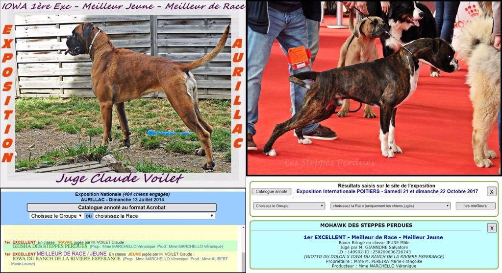 Des Steppes Perdues - Poitiers: MOHAWK des STEPPES PERDUES