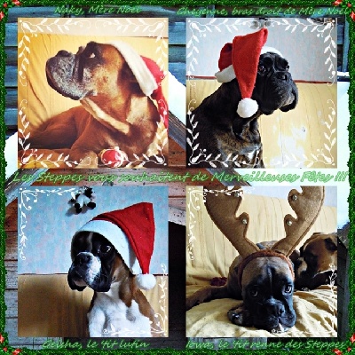Des Steppes Perdues - Les Steppes vous souhaitent un Joyeux Noël !!!