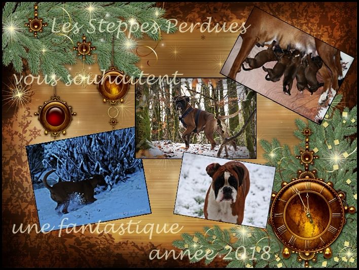 Des Steppes Perdues - BONNE ANNEE 2018 !!!